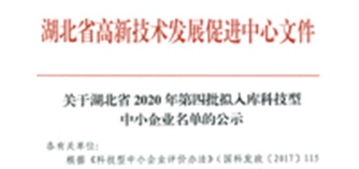 恭喜我司獲得武漢市“科技型中小企業(yè)”榮譽(yù)稱(chēng)號(hào)！